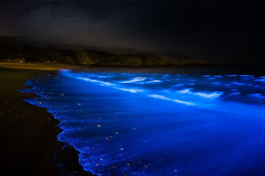 Bioluminescent waves fueled by plankton super swimmers